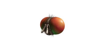 Roblox - Freaky Fly Face (Acessório)
